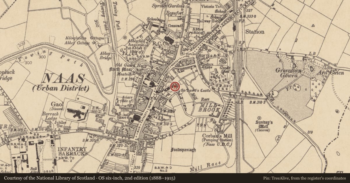 Ordnance Survey six-inch map, 2nd edition (1888–1915) covering the location of Graveslab, Naas East, County Kildare, with a pin at the register's coordinates