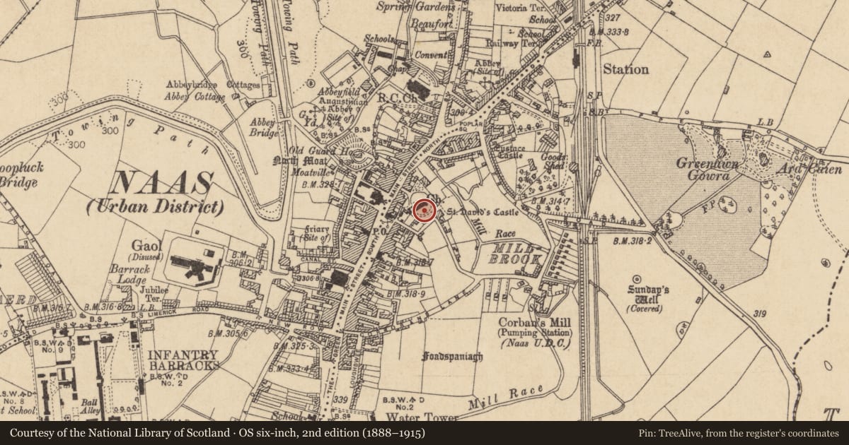 Ordnance Survey six-inch map, 2nd edition (1888–1915) covering the location of Wall monument, Naas East, County Kildare, with a pin at the register's coordinates