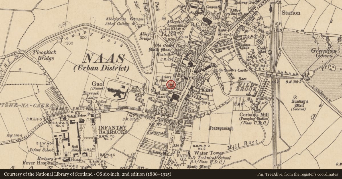 Ordnance Survey six-inch map, 2nd edition (1888–1915) covering the location of Religious house - Dominican friars, Naas West, County Kildare, with a pin at the register's coordinates
