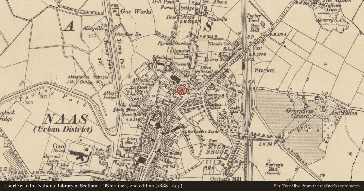 Ordnance Survey six-inch map, 2nd edition (1888–1915) covering the location of Excavation - miscellaneous, Naas West, County Kildare, with a pin at the register's coordinates