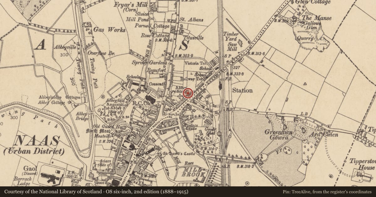 Ordnance Survey six-inch map, 2nd edition (1888–1915) covering the location of Graveyard, Naas West, County Kildare, with a pin at the register's coordinates