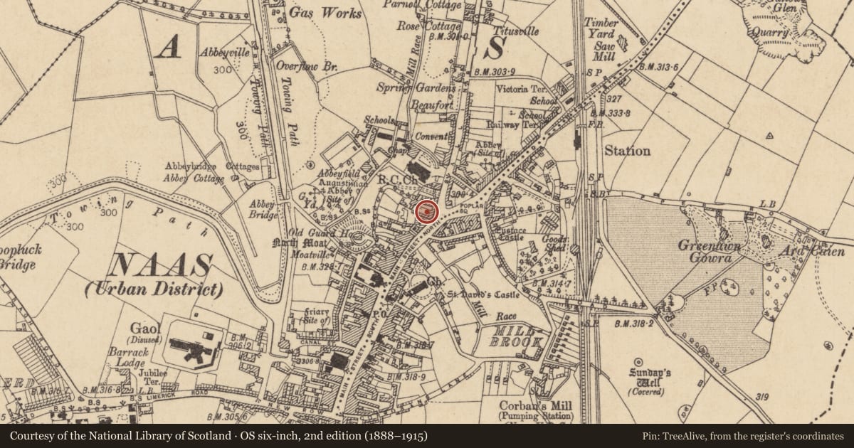 Ordnance Survey six-inch map, 2nd edition (1888–1915) covering the location of House - medieval, Naas West, County Kildare, with a pin at the register's coordinates