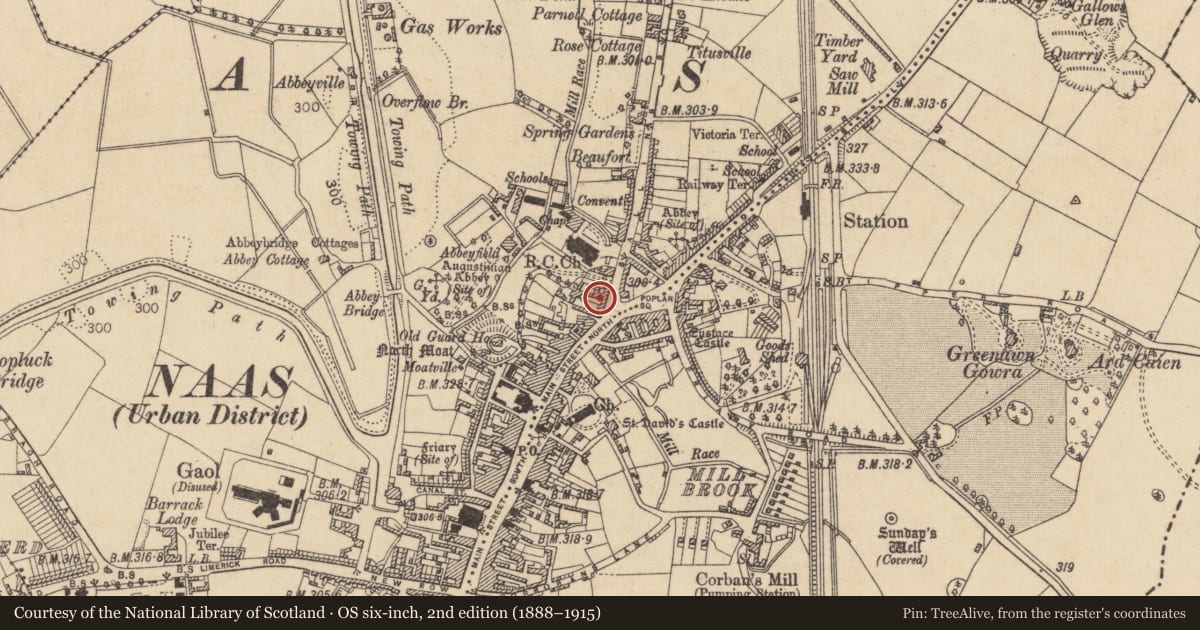 Ordnance Survey six-inch map, 2nd edition (1888–1915) covering the location of Excavation - miscellaneous, Naas West, County Kildare, with a pin at the register's coordinates