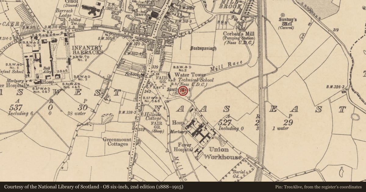 Ordnance Survey six-inch map, 2nd edition (1888–1915) covering the location of Excavation - miscellaneous, Naas East, County Kildare, with a pin at the register's coordinates