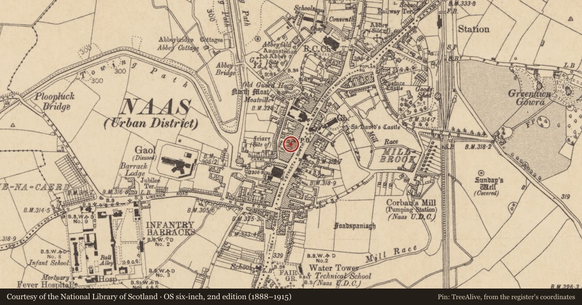 Ordnance Survey six-inch map, 2nd edition (1888–1915) covering the location of Well, Naas West, County Kildare, with a pin at the register's coordinates