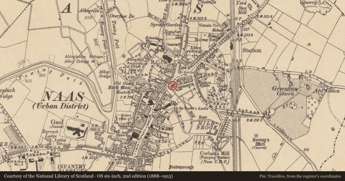 Ordnance Survey six-inch map, 2nd edition (1888–1915) covering the location of Excavation - miscellaneous, Naas East, County Kildare, with a pin at the register's coordinates