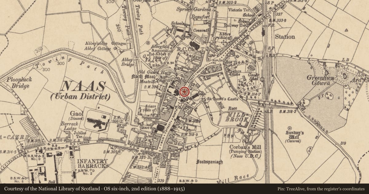 Ordnance Survey six-inch map, 2nd edition (1888–1915) covering the location of Excavation - miscellaneous, Naas East, County Kildare, with a pin at the register's coordinates
