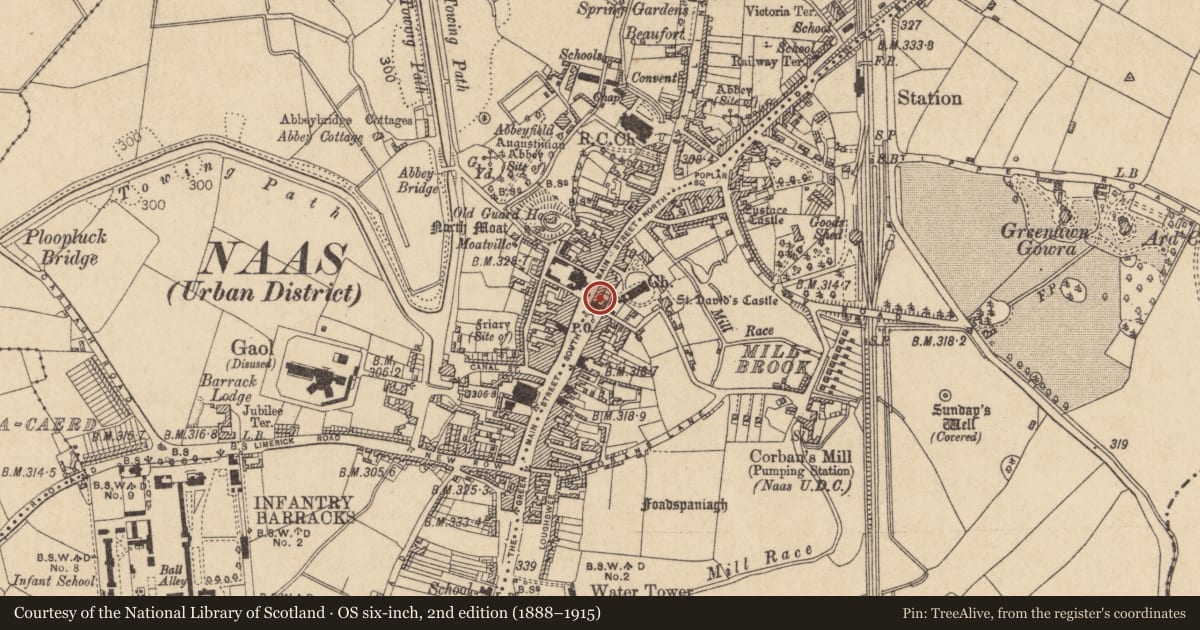 Ordnance Survey six-inch map, 2nd edition (1888–1915) covering the location of Excavation - miscellaneous, Naas East, County Kildare, with a pin at the register's coordinates