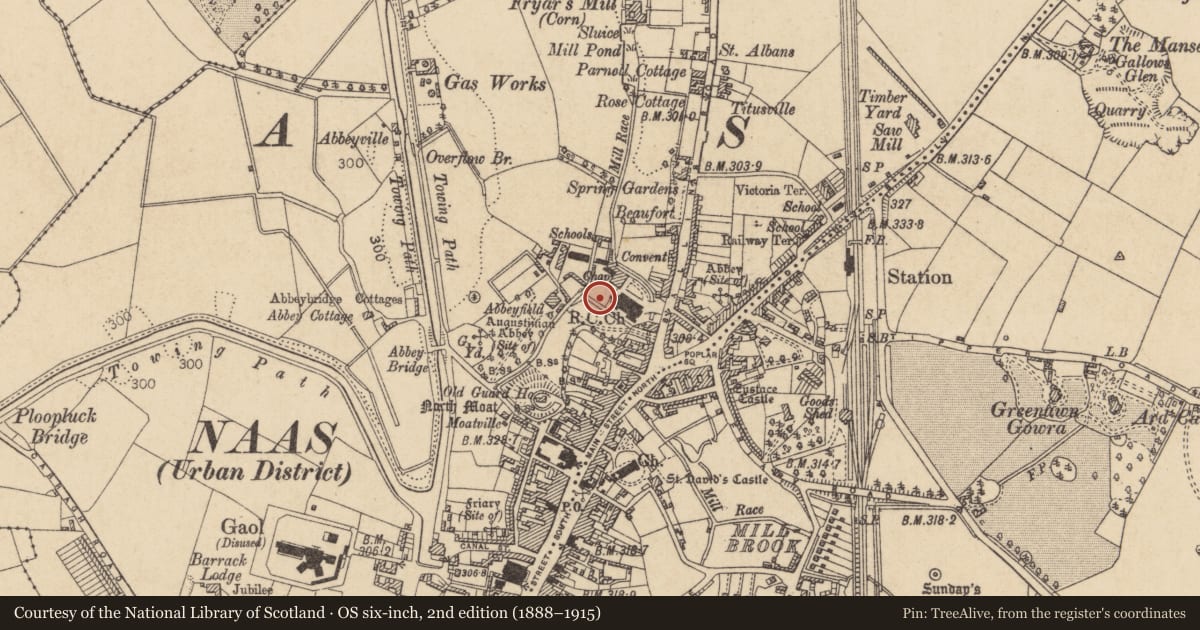 Ordnance Survey six-inch map, 2nd edition (1888–1915) covering the location of Burial ground, Naas West, County Kildare, with a pin at the register's coordinates