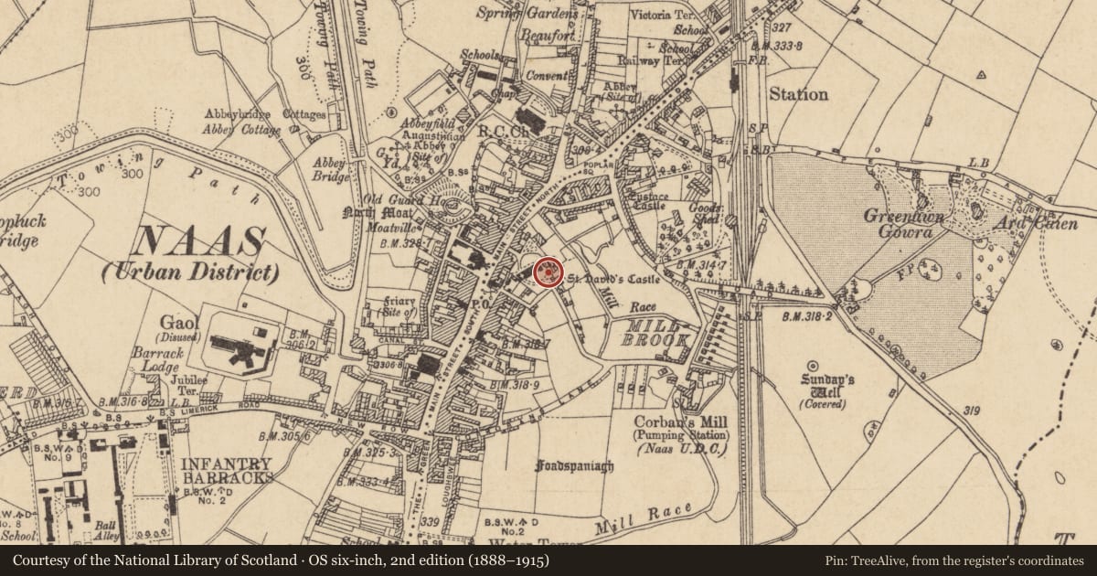 Ordnance Survey six-inch map, 2nd edition (1888–1915) covering the location of Graveyard, Naas East, County Kildare, with a pin at the register's coordinates