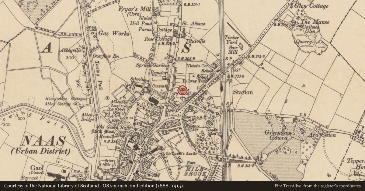 Ordnance Survey six-inch map, 2nd edition (1888–1915) covering the location of Font, Naas West, County Kildare, with a pin at the register's coordinates