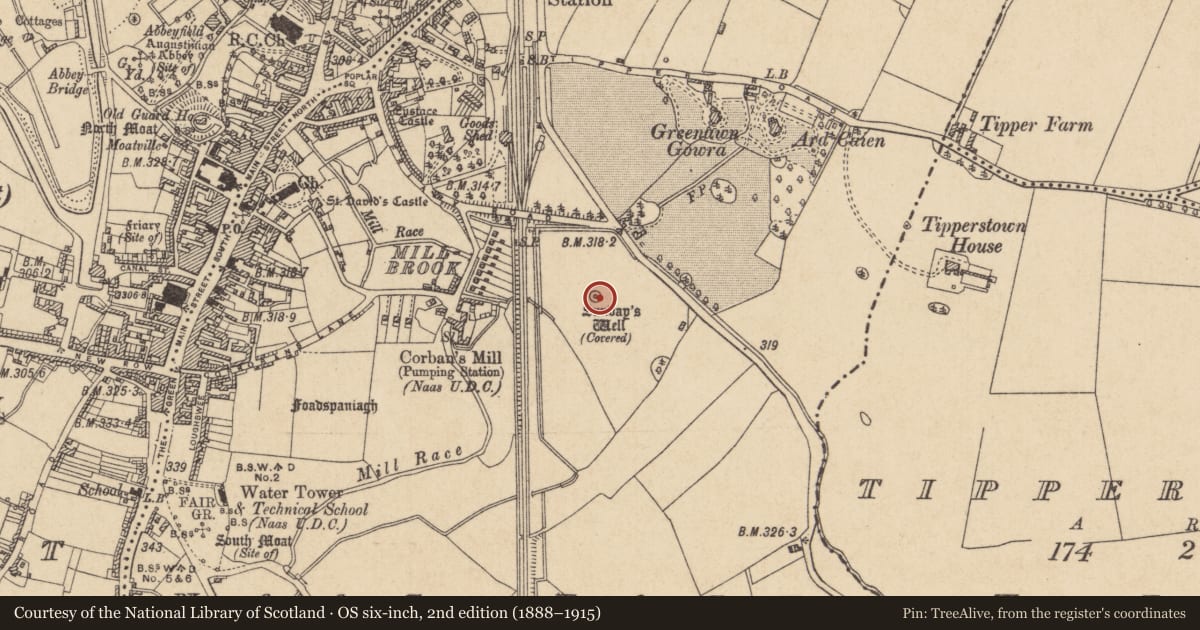Ordnance Survey six-inch map, 2nd edition (1888–1915) covering the location of Ritual site - holy well, Naas East, County Kildare, with a pin at the register's coordinates