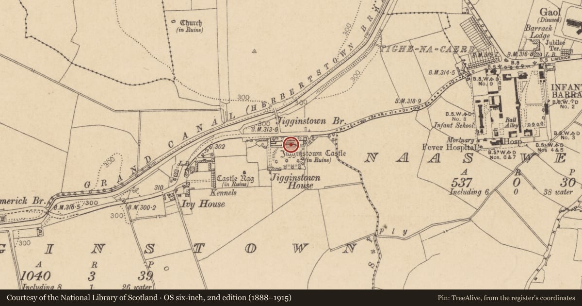 Ordnance Survey six-inch map, 2nd edition (1888–1915) covering the location of House - 17th century, Jigginstown, County Kildare, with a pin at the register's coordinates