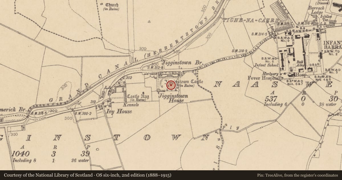 Ordnance Survey six-inch map, 2nd edition (1888–1915) covering the location of Designed landscape - formal garden, Jigginstown, County Kildare, with a pin at the register's coordinates