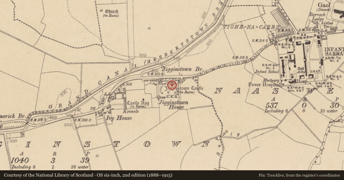 Ordnance Survey six-inch map, 2nd edition (1888–1915) covering the location of Kiln - lime, Jigginstown, County Kildare, with a pin at the register's coordinates