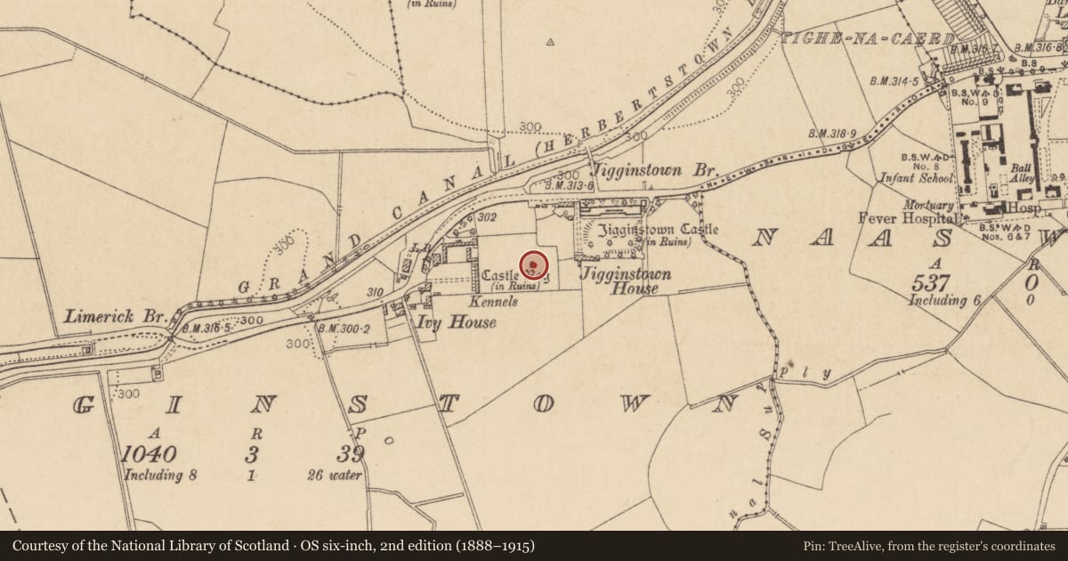 Ordnance Survey six-inch map, 2nd edition (1888–1915) covering the location of Castle - tower house, Jigginstown, County Kildare, with a pin at the register's coordinates
