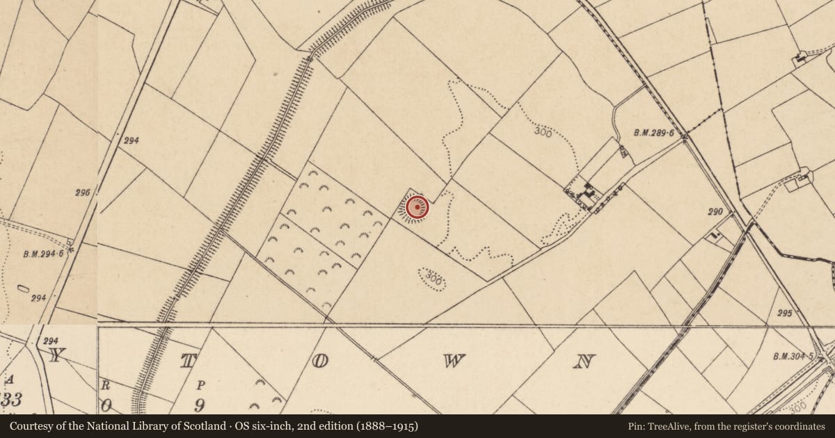 Ordnance Survey six-inch map, 2nd edition (1888–1915) covering the location of Ringfort - rath, Ladytown, County Kildare, with a pin at the register's coordinates