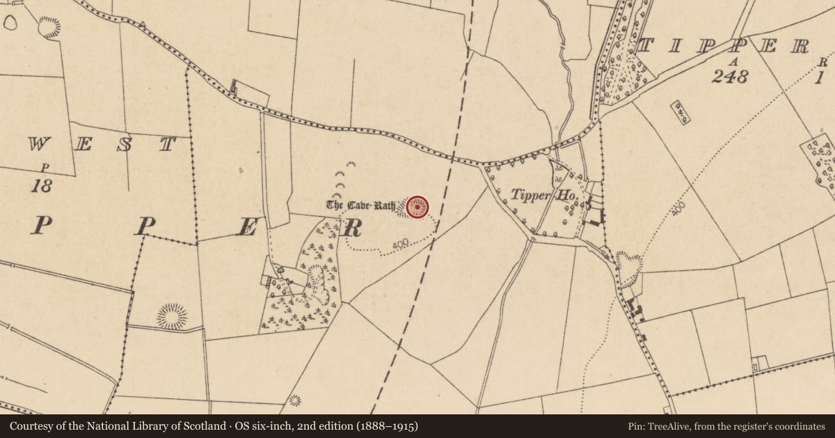 Ordnance Survey six-inch map, 2nd edition (1888–1915) covering the location of Enclosure, Tipper South, County Kildare, with a pin at the register's coordinates