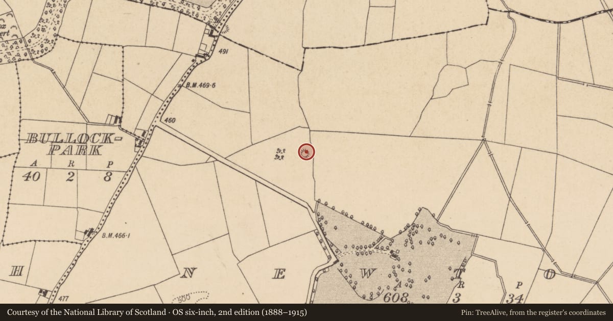 Ordnance Survey six-inch map, 2nd edition (1888–1915) covering the location of Mound, Newtown, County Kildare, with a pin at the register's coordinates