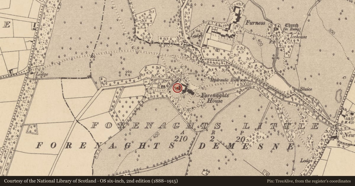 Ordnance Survey six-inch map, 2nd edition (1888–1915) covering the location of Church, Forenaghts Little, County Kildare, with a pin at the register's coordinates