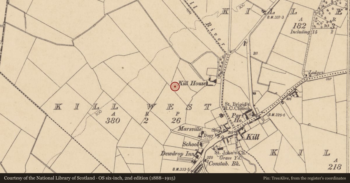 Ordnance Survey six-inch map, 2nd edition (1888–1915) covering the location of Mound, Kill West, County Kildare, with a pin at the register's coordinates