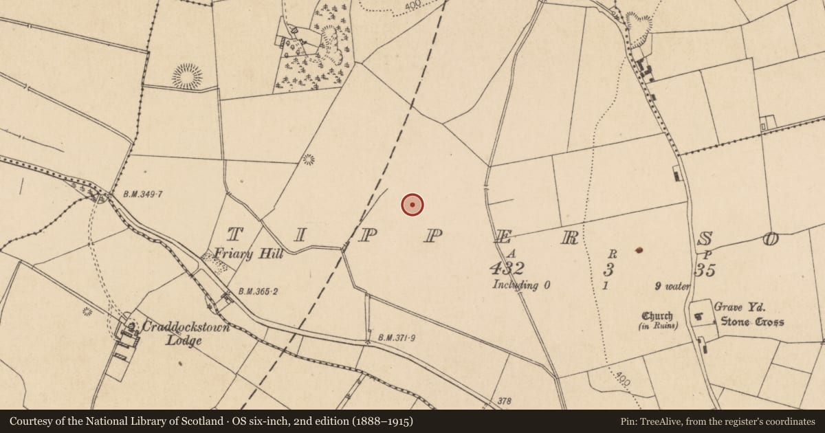 Ordnance Survey six-inch map, 2nd edition (1888–1915) covering the location of Fulacht fia, Tipper South, County Kildare, with a pin at the register's coordinates