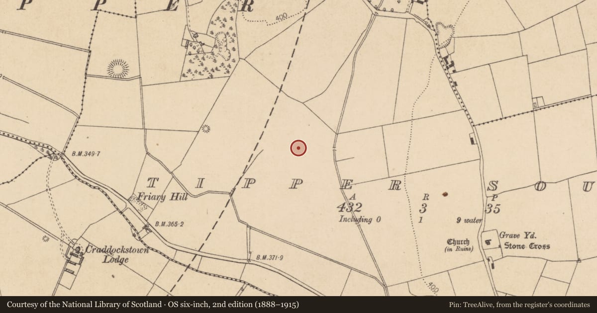 Ordnance Survey six-inch map, 2nd edition (1888–1915) covering the location of Fulacht fia, Tipper South, County Kildare, with a pin at the register's coordinates