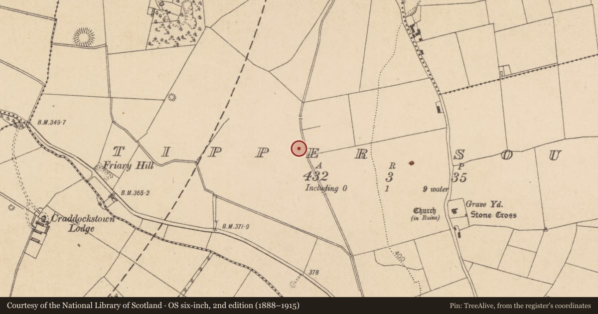 Ordnance Survey six-inch map, 2nd edition (1888–1915) covering the location of Fulacht fia, Tipper South, County Kildare, with a pin at the register's coordinates