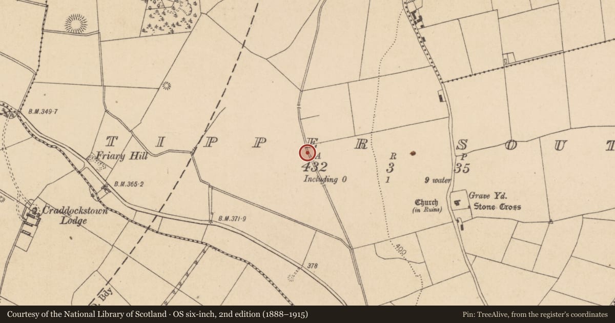 Ordnance Survey six-inch map, 2nd edition (1888–1915) covering the location of Fulacht fia, Tipper South, County Kildare, with a pin at the register's coordinates