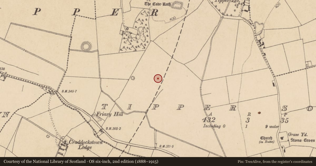 Ordnance Survey six-inch map, 2nd edition (1888–1915) covering the location of Fulacht fia, Tipper South, County Kildare, with a pin at the register's coordinates