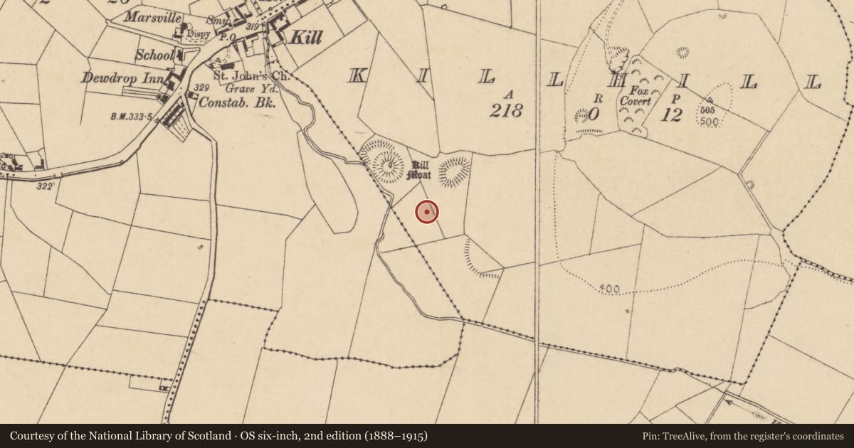 Ordnance Survey six-inch map, 2nd edition (1888–1915) covering the location of Fulacht fia, Killhill, County Kildare, with a pin at the register's coordinates