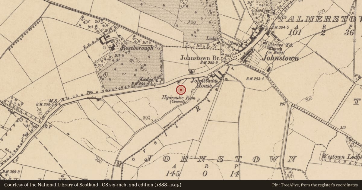 Ordnance Survey six-inch map, 2nd edition (1888–1915) covering the location of Standing stone, Maudlings, County Kildare, with a pin at the register's coordinates