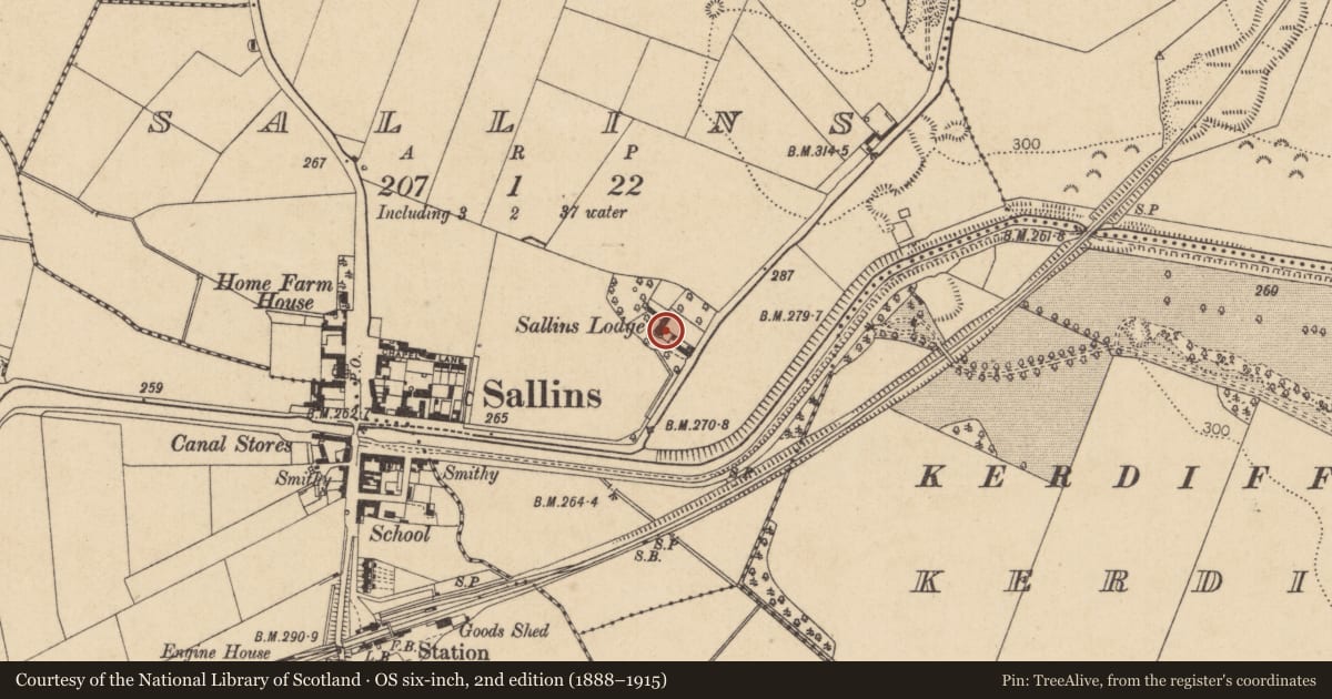 Ordnance Survey six-inch map, 2nd edition (1888–1915) covering the location of Castle - tower house, Sallins, County Kildare, with a pin at the register's coordinates