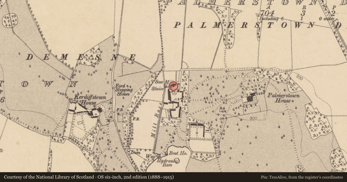 Ordnance Survey six-inch map, 2nd edition (1888–1915) covering the location of Mill - sawmill, Palmerstown Demesne, County Kildare, with a pin at the register's coordinates