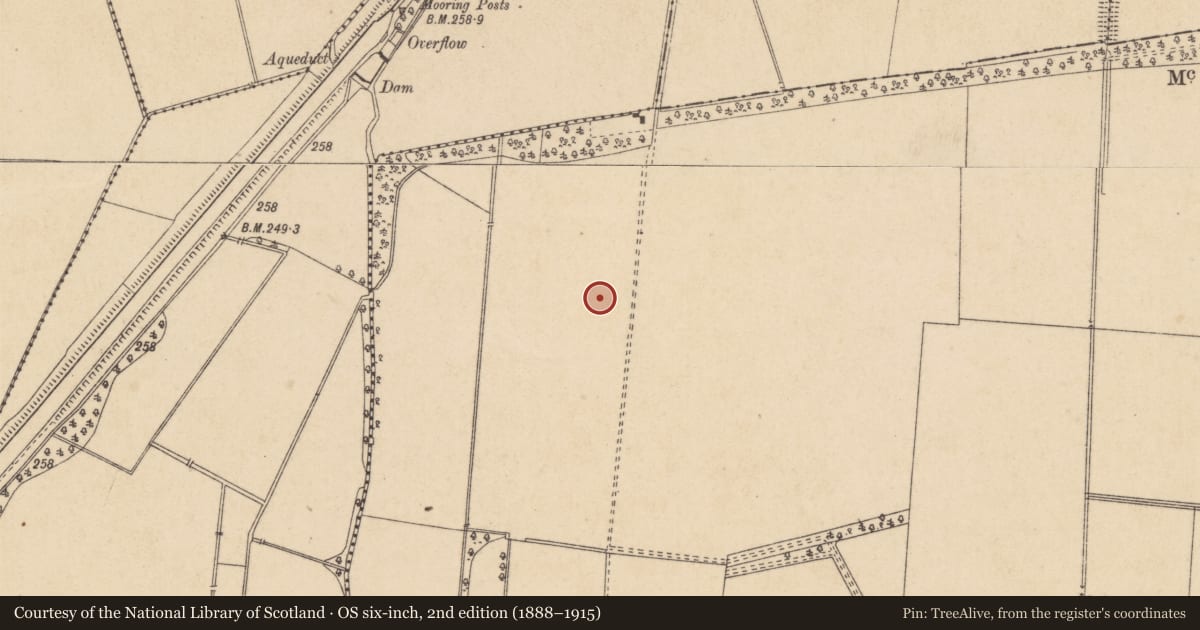 Ordnance Survey six-inch map, 2nd edition (1888–1915) covering the location of Standing stone, Palmerstown Demesne, County Kildare, with a pin at the register's coordinates