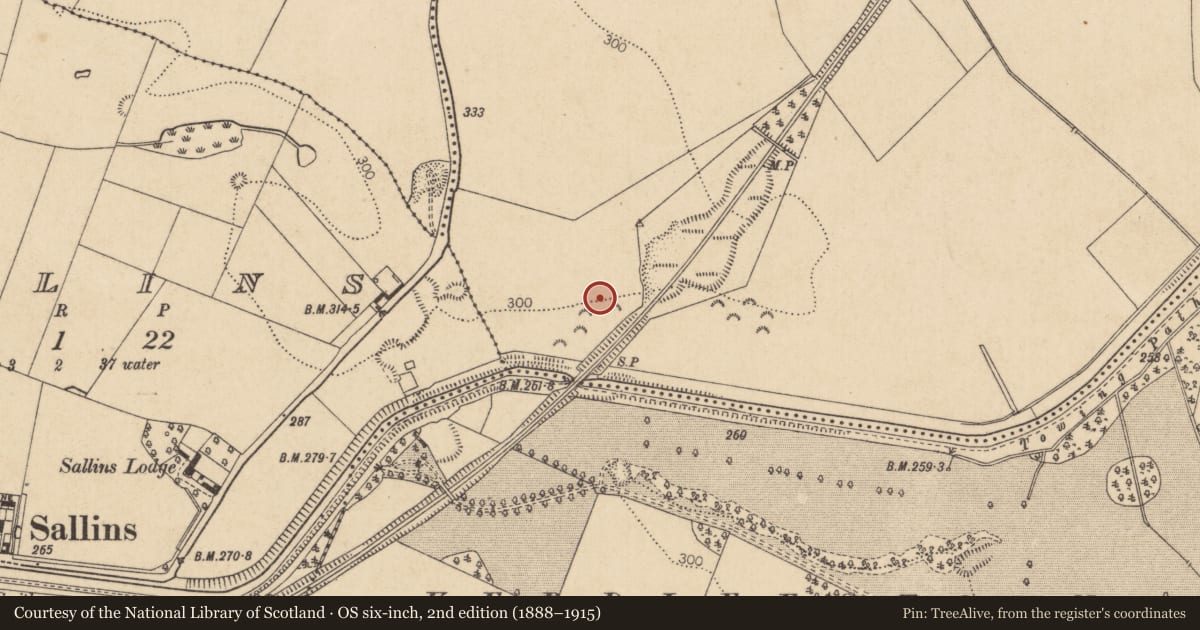 Ordnance Survey six-inch map, 2nd edition (1888–1915) covering the location of Burial, Sherlockstown, County Kildare, with a pin at the register's coordinates