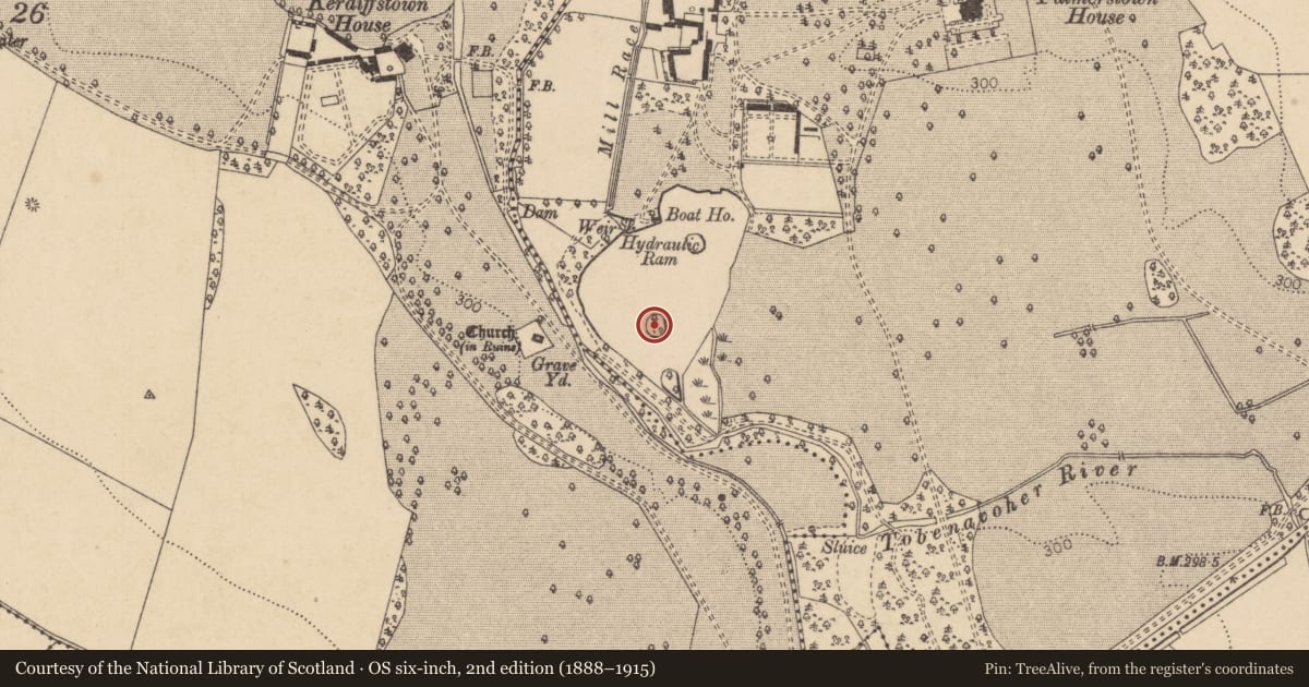 Ordnance Survey six-inch map, 2nd edition (1888–1915) covering the location of Architectural fragment, Palmerstown Demesne, County Kildare, with a pin at the register's coordinates