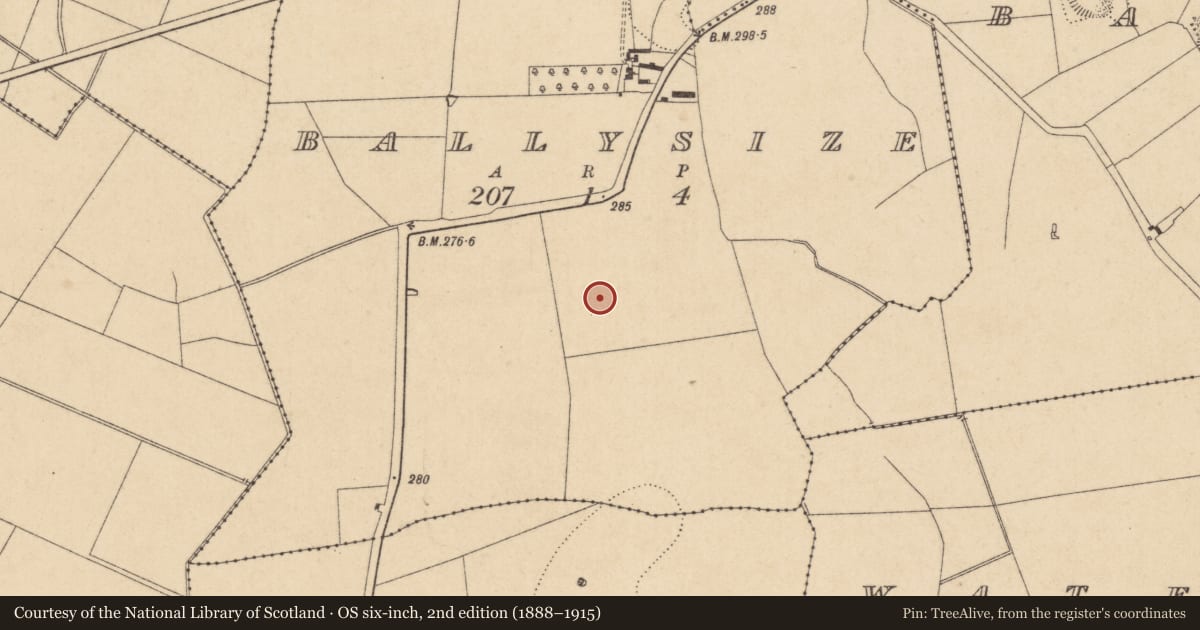 Ordnance Survey six-inch map, 2nd edition (1888–1915) covering the location of Enclosure, Ballysize, County Kildare, with a pin at the register's coordinates