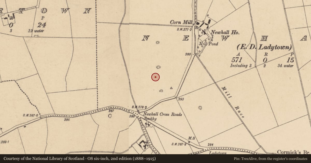 Ordnance Survey six-inch map, 2nd edition (1888–1915) covering the location of Enclosure, Newhall, County Kildare, with a pin at the register's coordinates