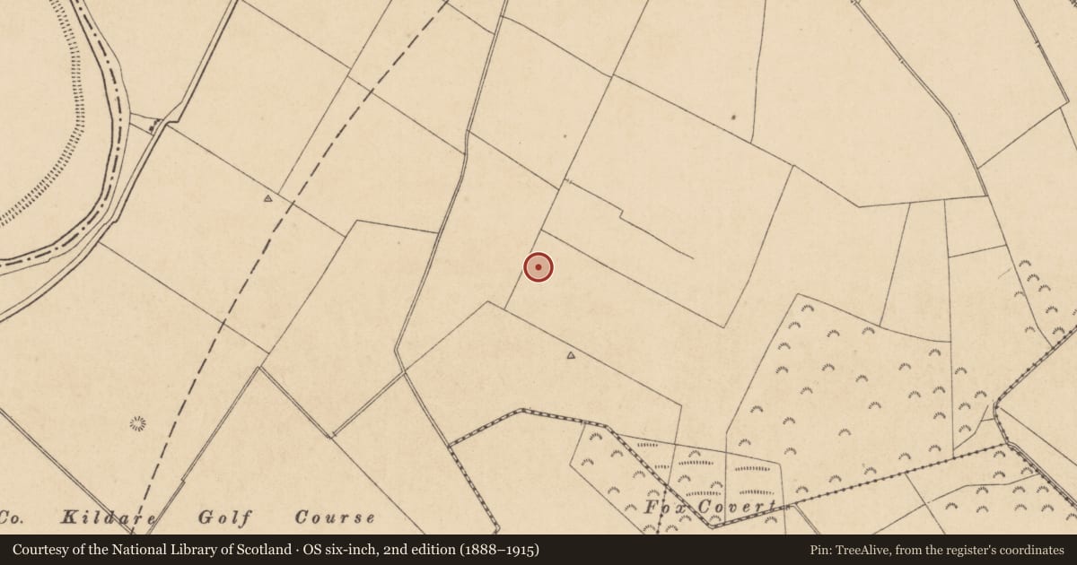 Ordnance Survey six-inch map, 2nd edition (1888–1915) covering the location of Enclosure, Osberstown, County Kildare, with a pin at the register's coordinates