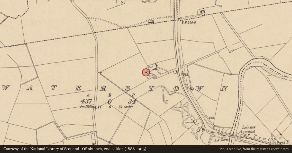 Ordnance Survey six-inch map, 2nd edition (1888–1915) covering the location of Burial, Waterstown, County Kildare, with a pin at the register's coordinates