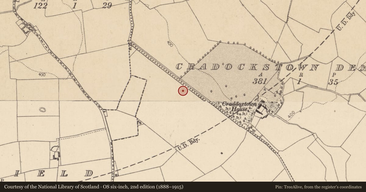 Ordnance Survey six-inch map, 2nd edition (1888–1915) covering the location of Enclosure, Cradockstown West, County Kildare, with a pin at the register's coordinates