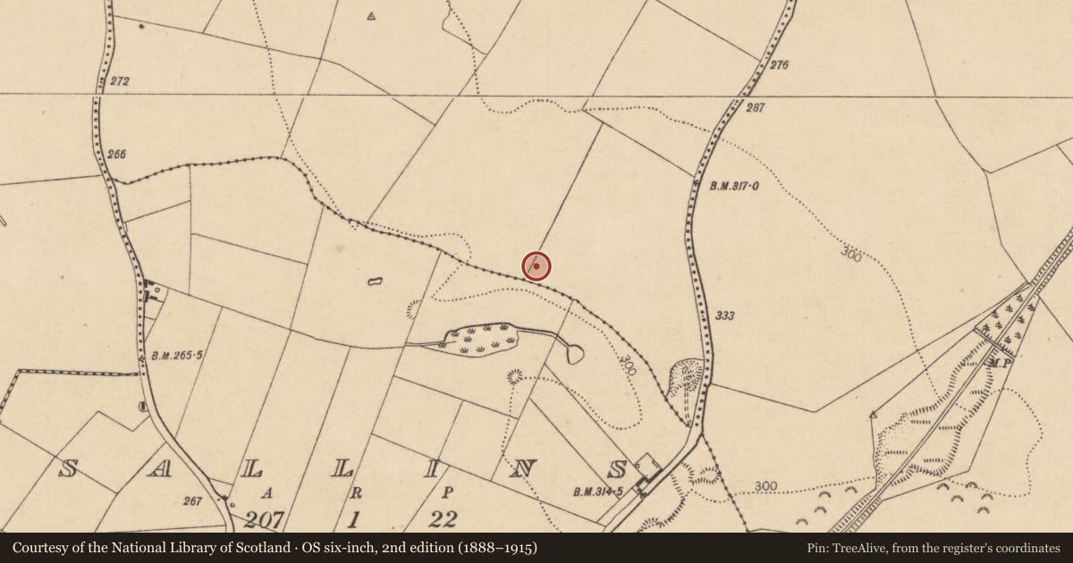 Ordnance Survey six-inch map, 2nd edition (1888–1915) covering the location of Enclosure, Bodenstown, County Kildare, with a pin at the register's coordinates