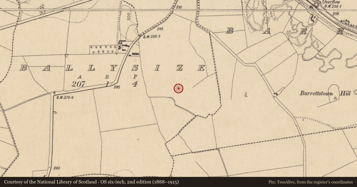 Ordnance Survey six-inch map, 2nd edition (1888–1915) covering the location of Field system, Ballysize, County Kildare, with a pin at the register's coordinates