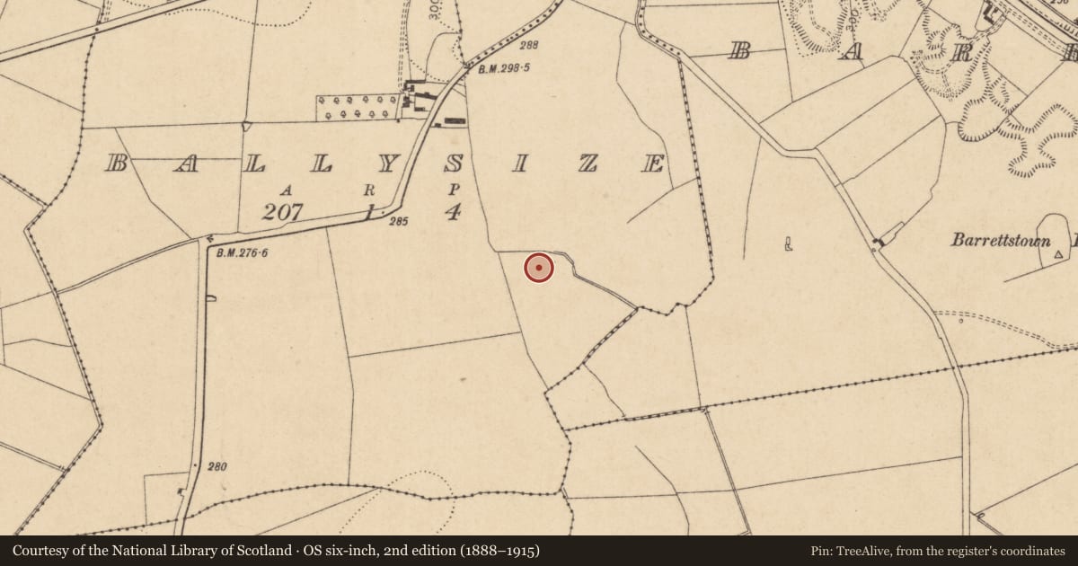 Ordnance Survey six-inch map, 2nd edition (1888–1915) covering the location of Ring-ditch, Ballysize, County Kildare, with a pin at the register's coordinates