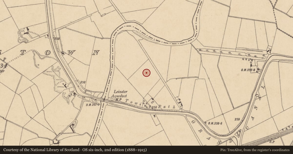 Ordnance Survey six-inch map, 2nd edition (1888–1915) covering the location of Ring-ditch, Osberstown, County Kildare, with a pin at the register's coordinates