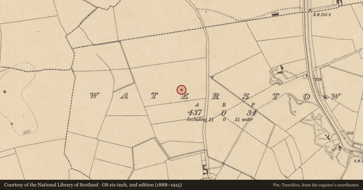 Ordnance Survey six-inch map, 2nd edition (1888–1915) covering the location of Ring-ditch, Waterstown, County Kildare, with a pin at the register's coordinates