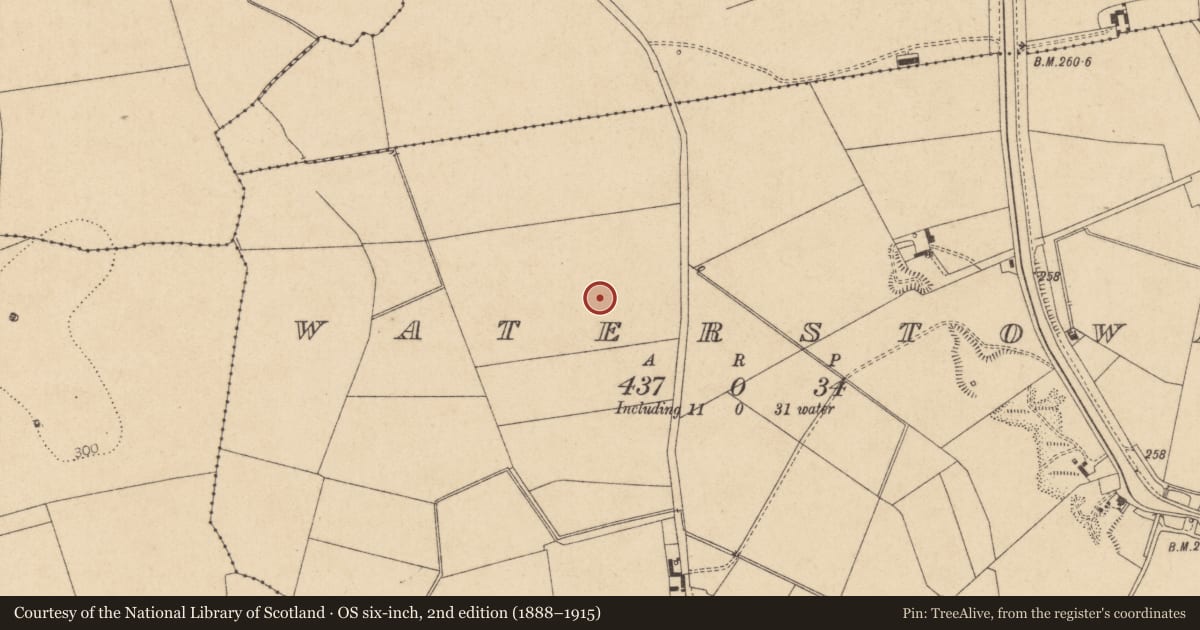 Ordnance Survey six-inch map, 2nd edition (1888–1915) covering the location of Ring-ditch, Waterstown, County Kildare, with a pin at the register's coordinates