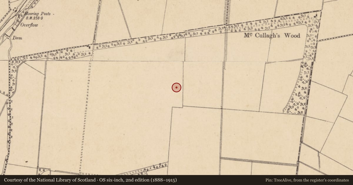 Ordnance Survey six-inch map, 2nd edition (1888–1915) covering the location of Ring-ditch, Palmerstown Demesne, County Kildare, with a pin at the register's coordinates