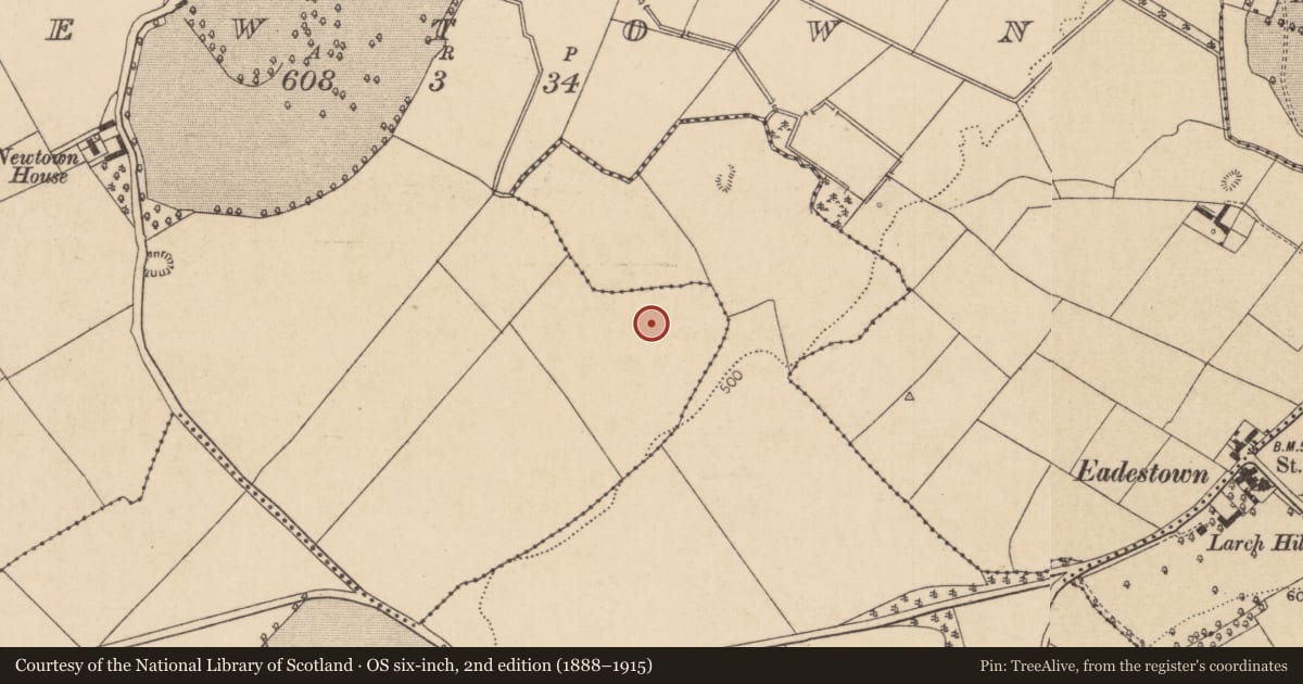 Ordnance Survey six-inch map, 2nd edition (1888–1915) covering the location of Ring-ditch, Newtown, County Kildare, with a pin at the register's coordinates